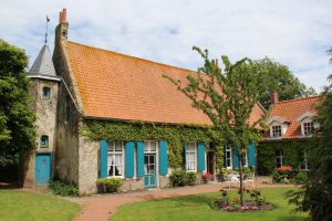 crédits L'oeil du zébre Musée Jeanne Devos